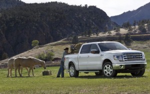 2013-Ford-F-150-King-Ranch-front-view-with-horse-623x389